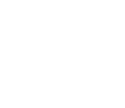 Trauma Pain Group